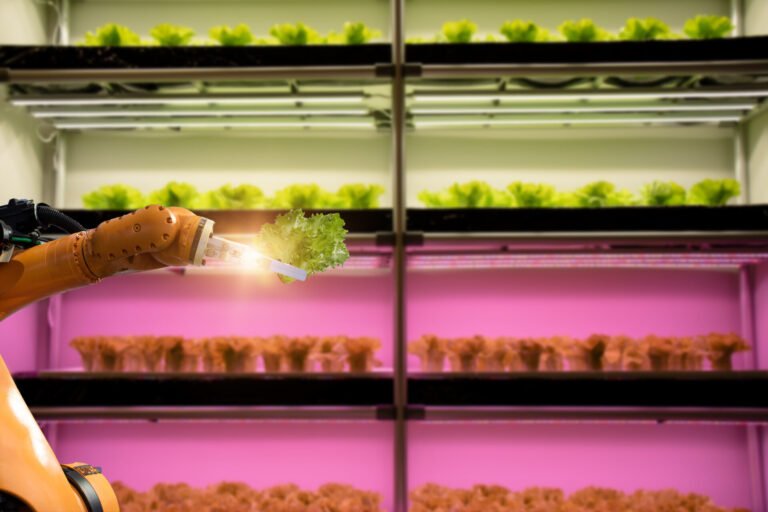 AI for vertical farming