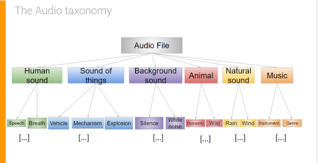 audio taxonomy