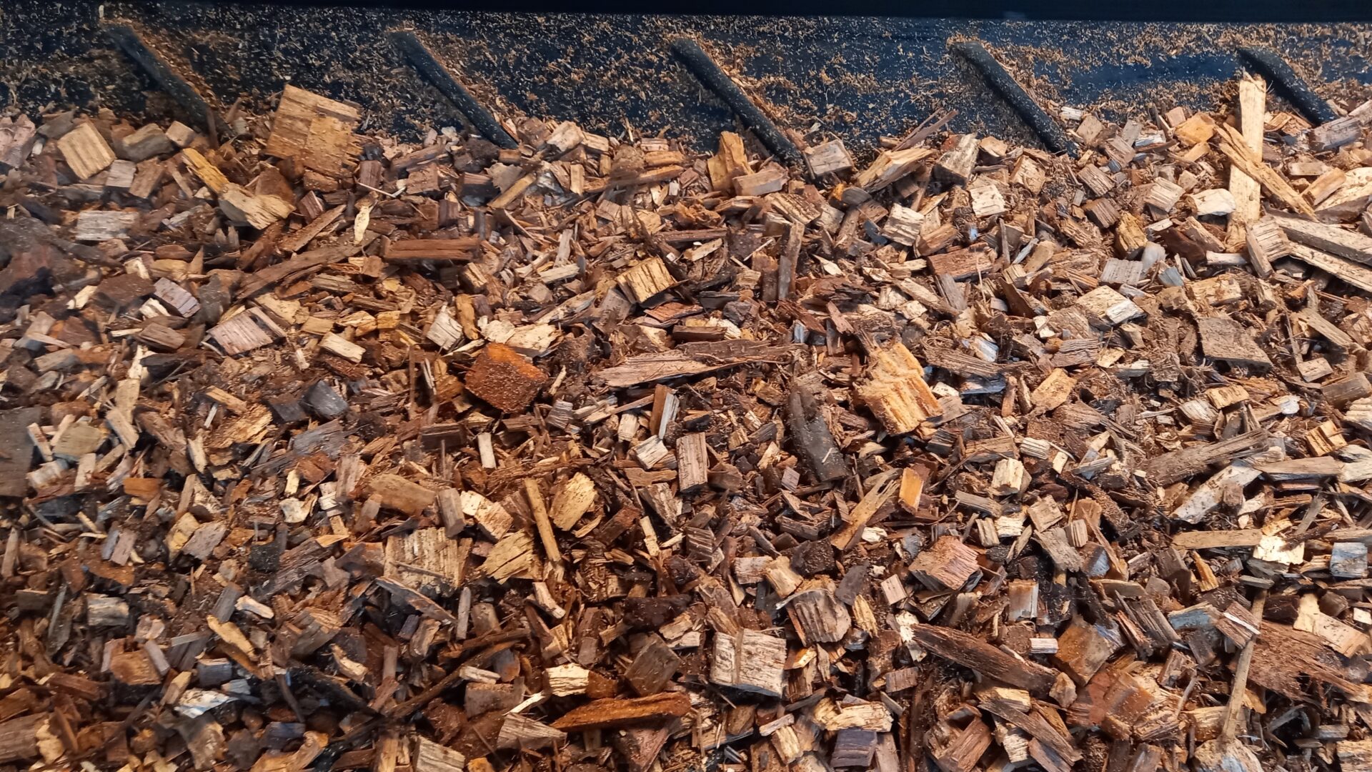 a multitude of wood chips, which are used in biomass power plants