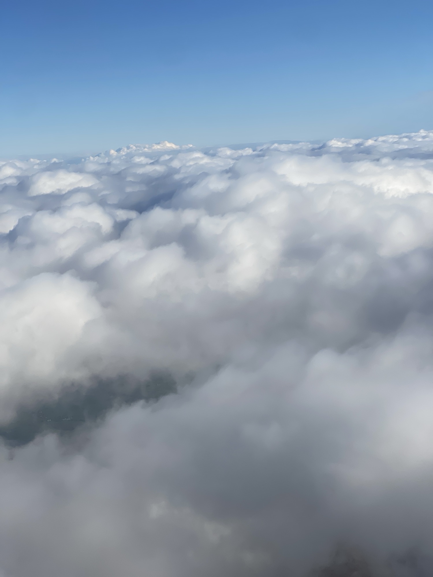 Leadership, Not Job Function, Drives AI Adoption