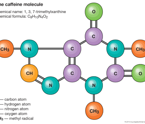 Shows the caffeine molecule